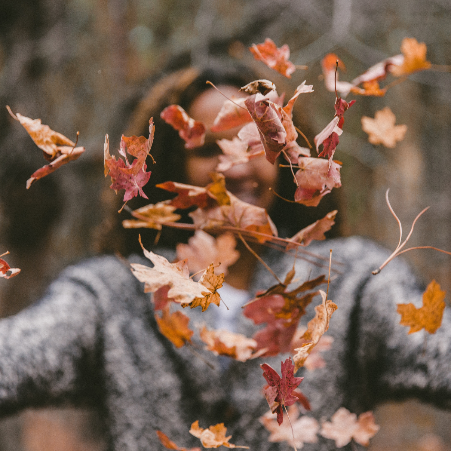 Célébrer l'automne dans les Cantons-de-l'Est!