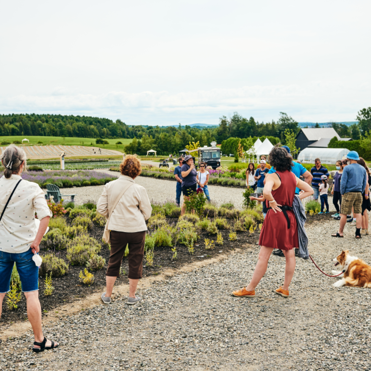 Découvrez le <em>Slow Tourisme</em> : L'art de prendre son temps avec Bleu Lavande