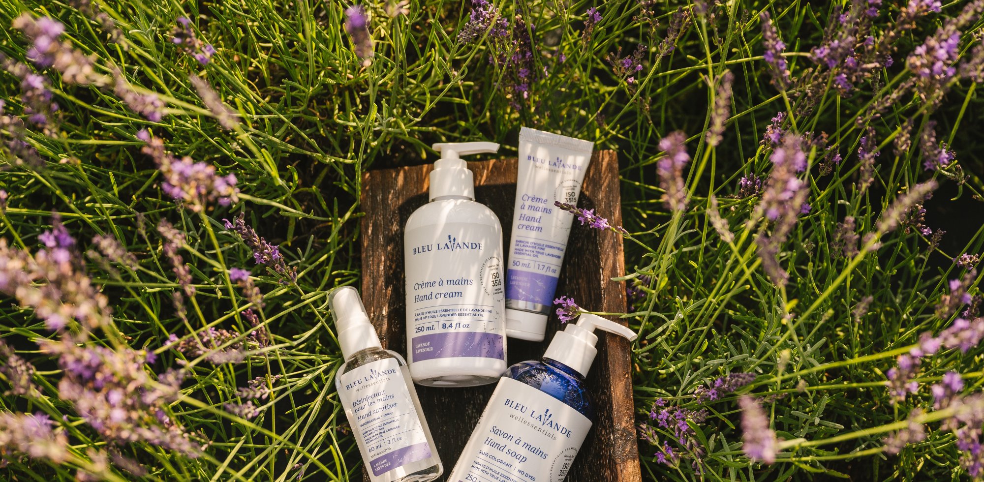 Soins pour les mains et les pieds enrichis d'huile essentielle de lavande fine