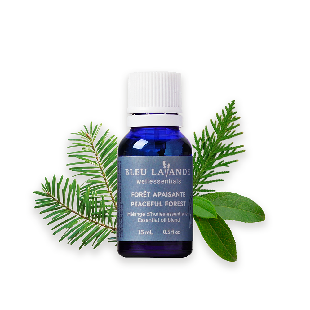 Forêt apaisante : Huiles essentielles de sapin baumier, cèdre et thé des bois.