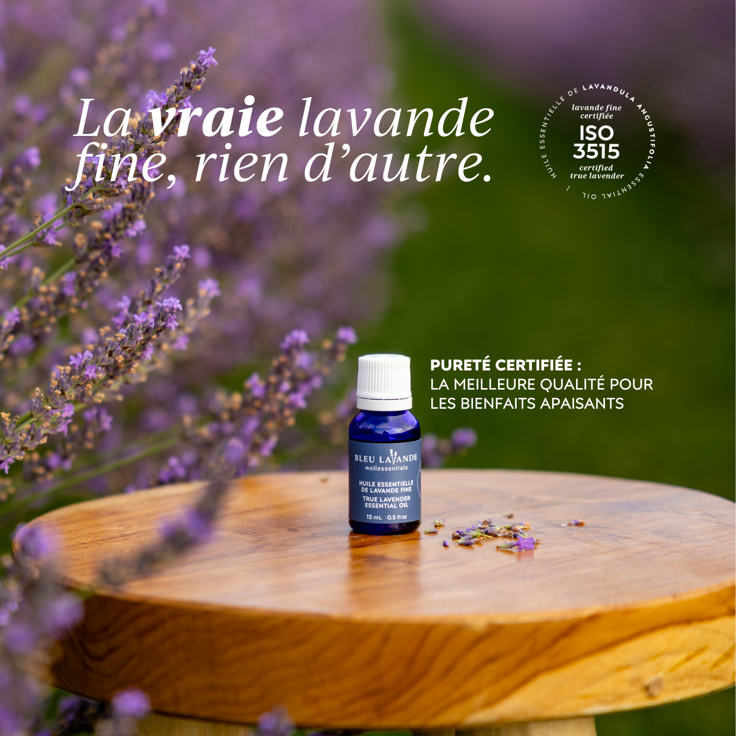 Huile essentielle de lavande fine, la vraie, rien d'autre