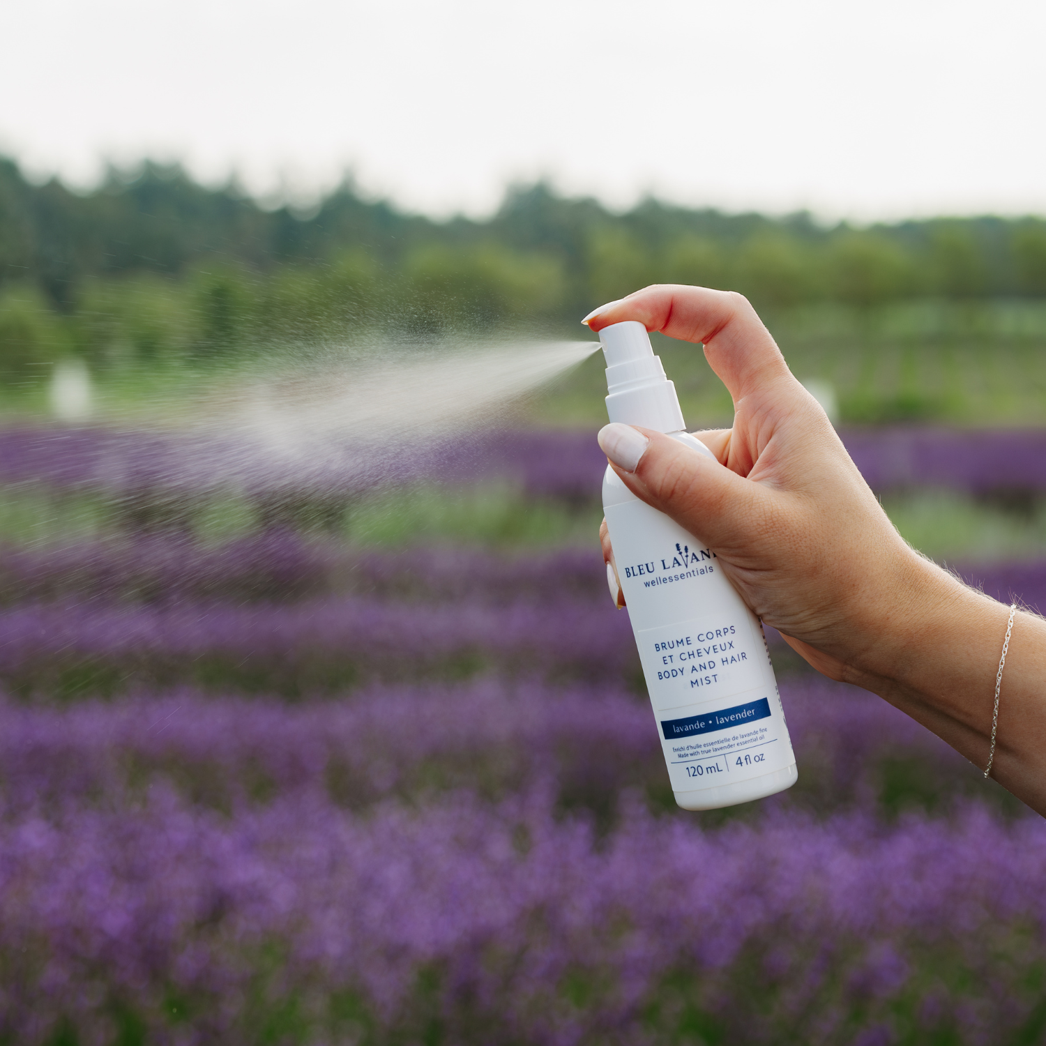 Parfum naturel corps et cheveux lavande
