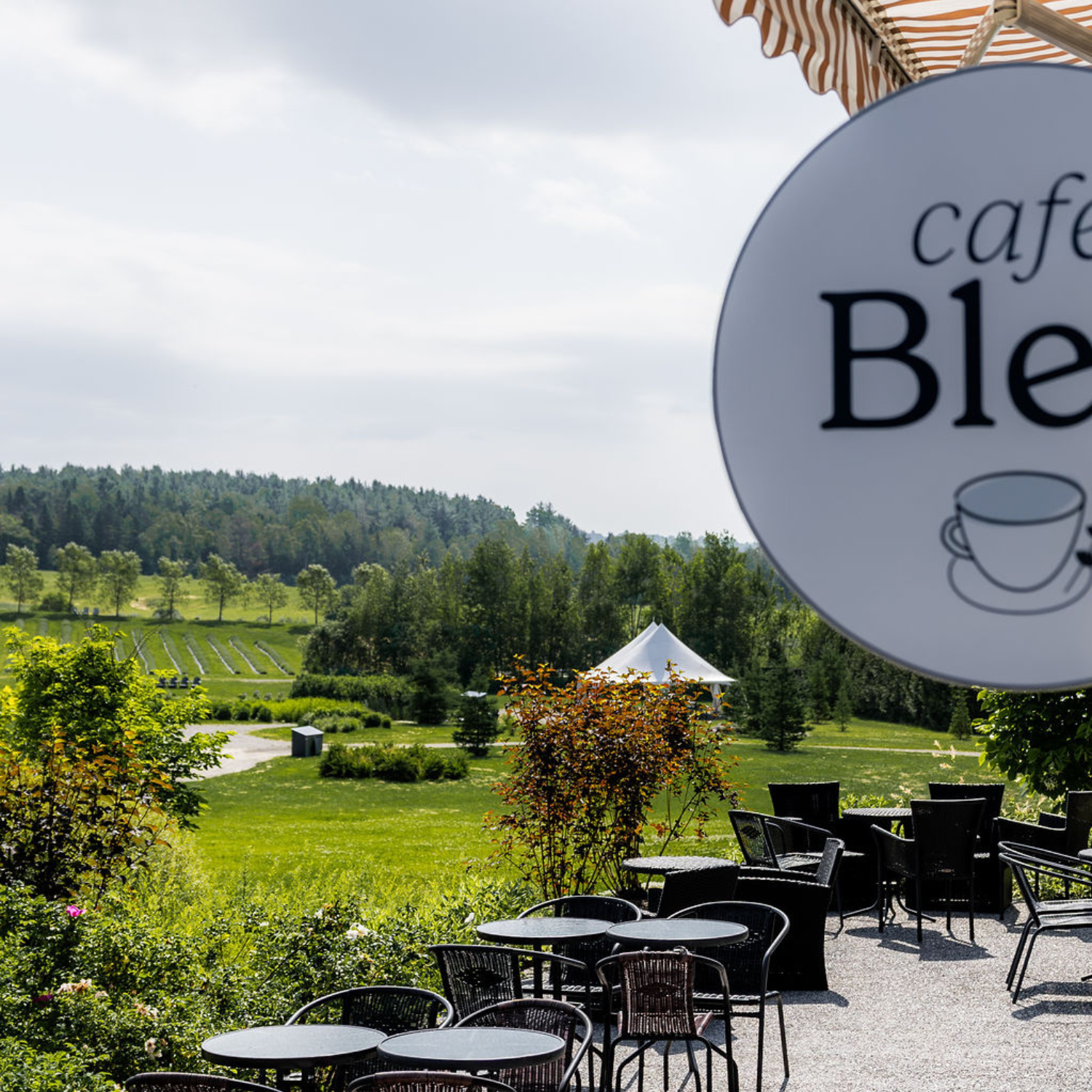 Café Bleu Lavande au Québec, en Estrie