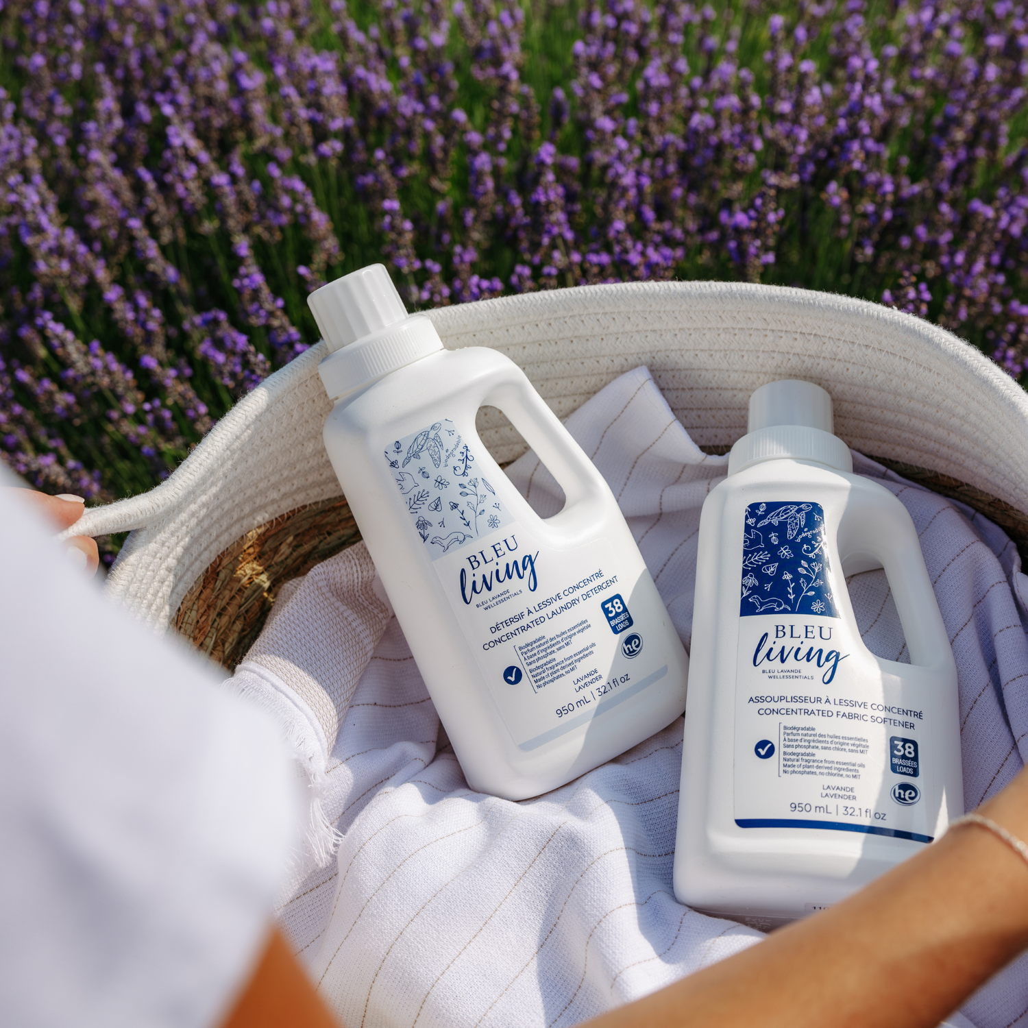 Détersif et assouplisseur à lessive concentrés de Bleu Lavande dans les champs