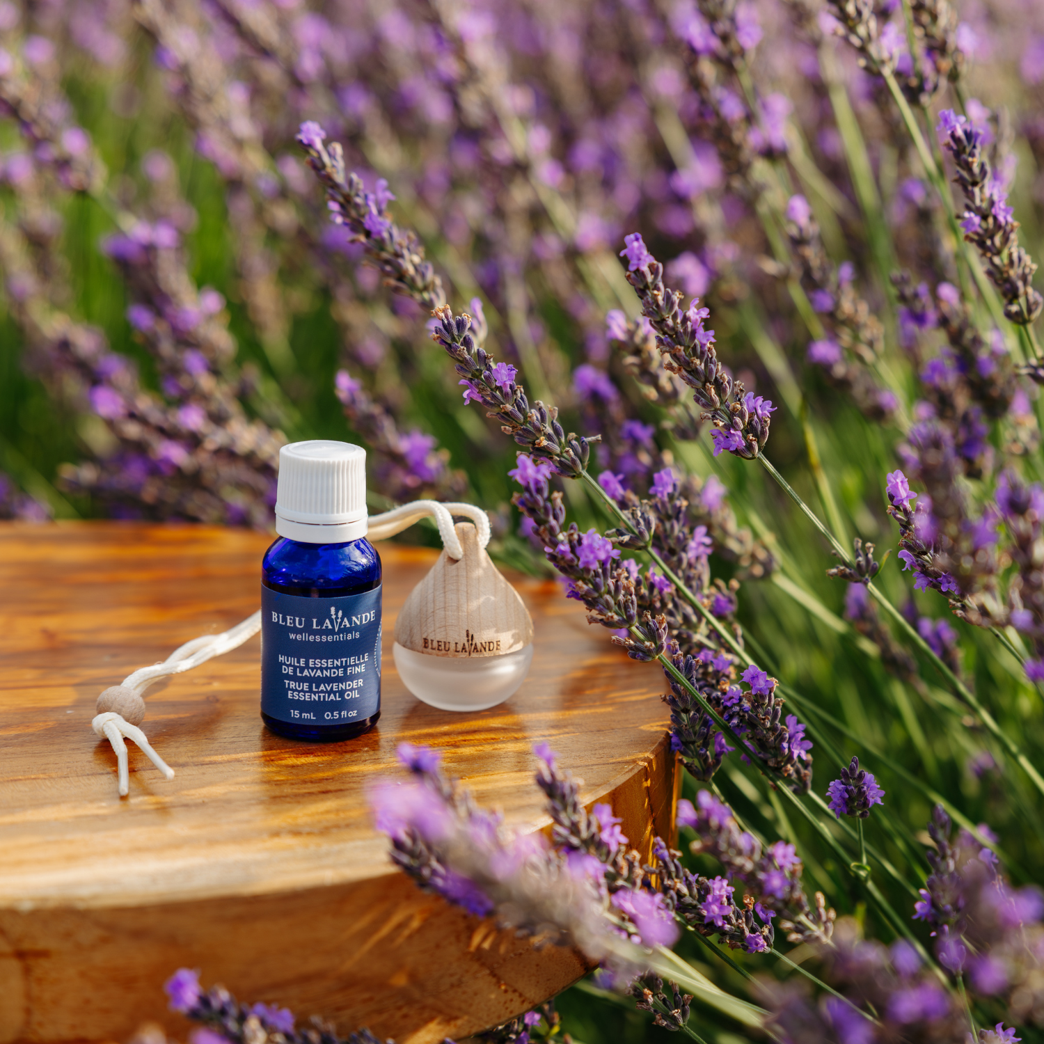 Diffuseur d'huiles essentielles Goutte et huile essentielle de lavande fine dans les champs de Bleu Lavande au Québec