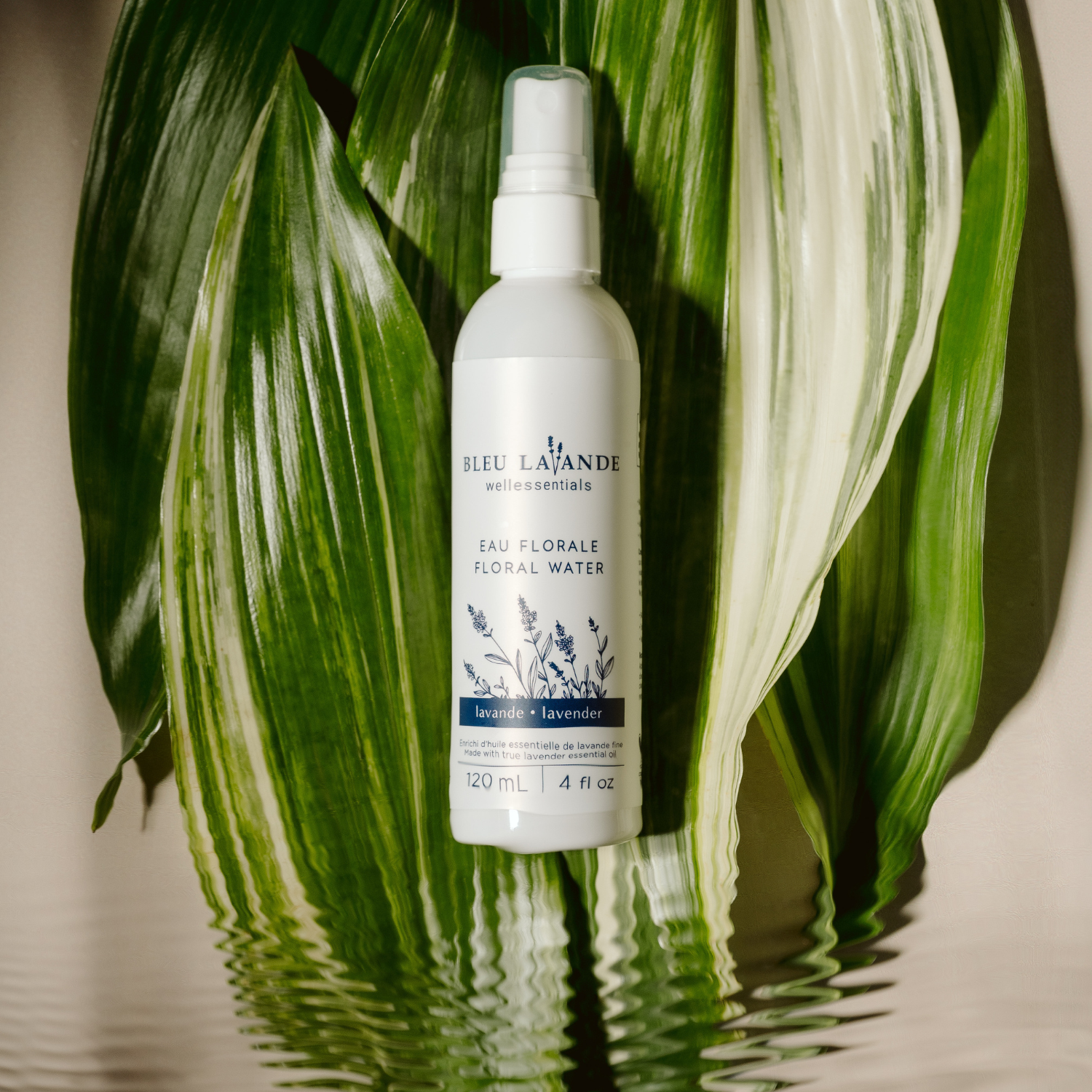 Eau florale à la lavande
