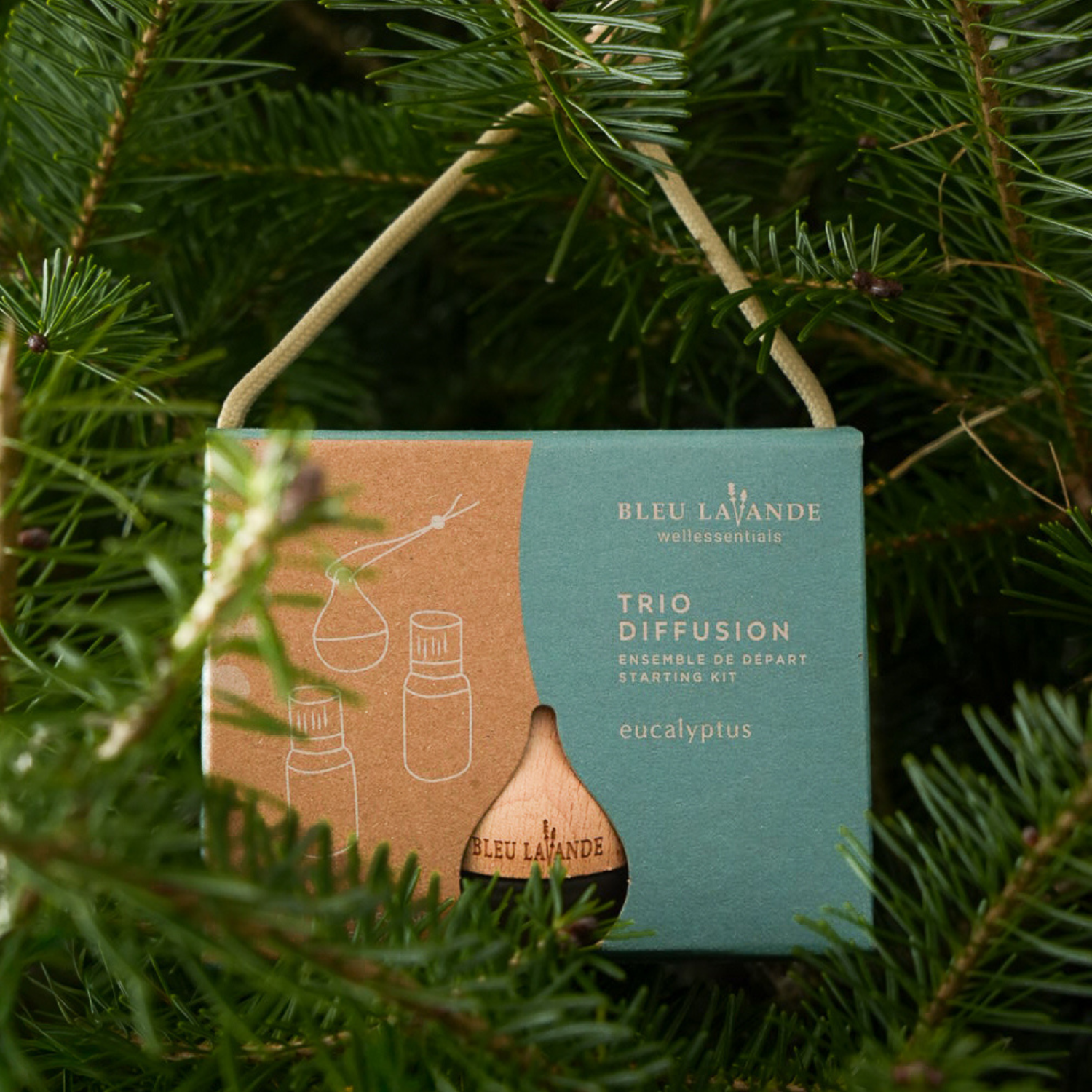 Cadeau à accrocher dans le sapin de Noël à l'eucalyptus