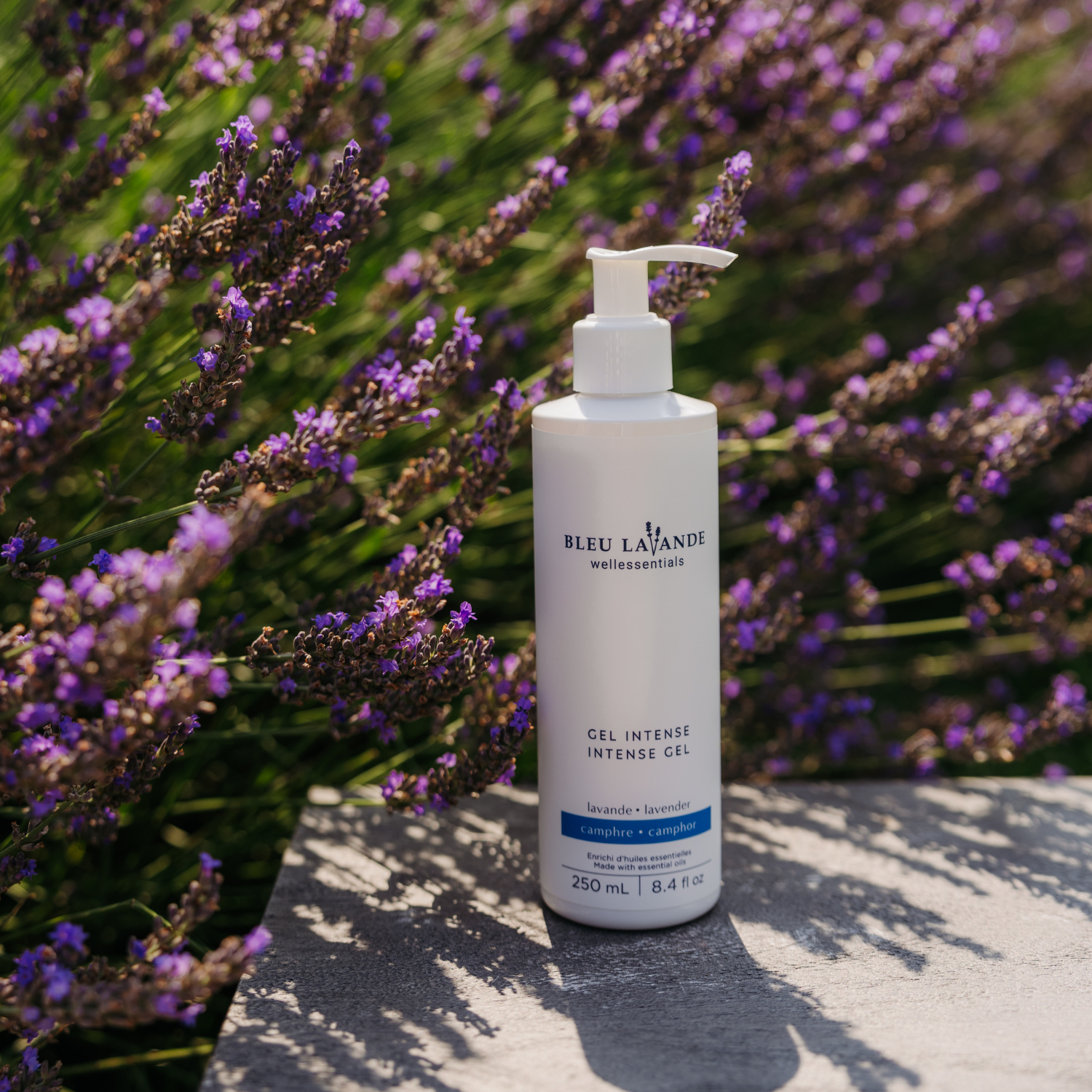 Gel intense 250 ml dans les champs de Bleu Lavande