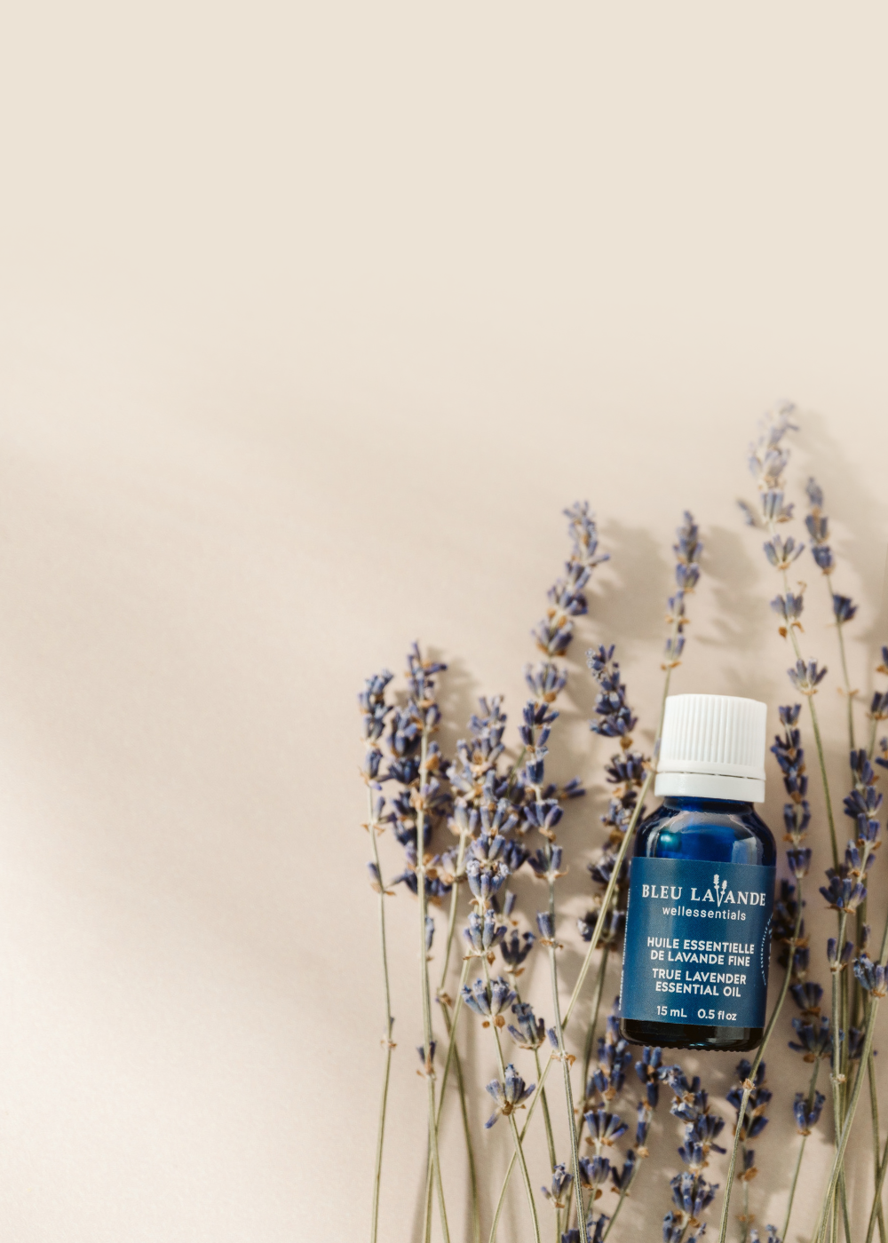 Huile essentielle de Lavandula Angustifolia certifiée de Bleu Lavande