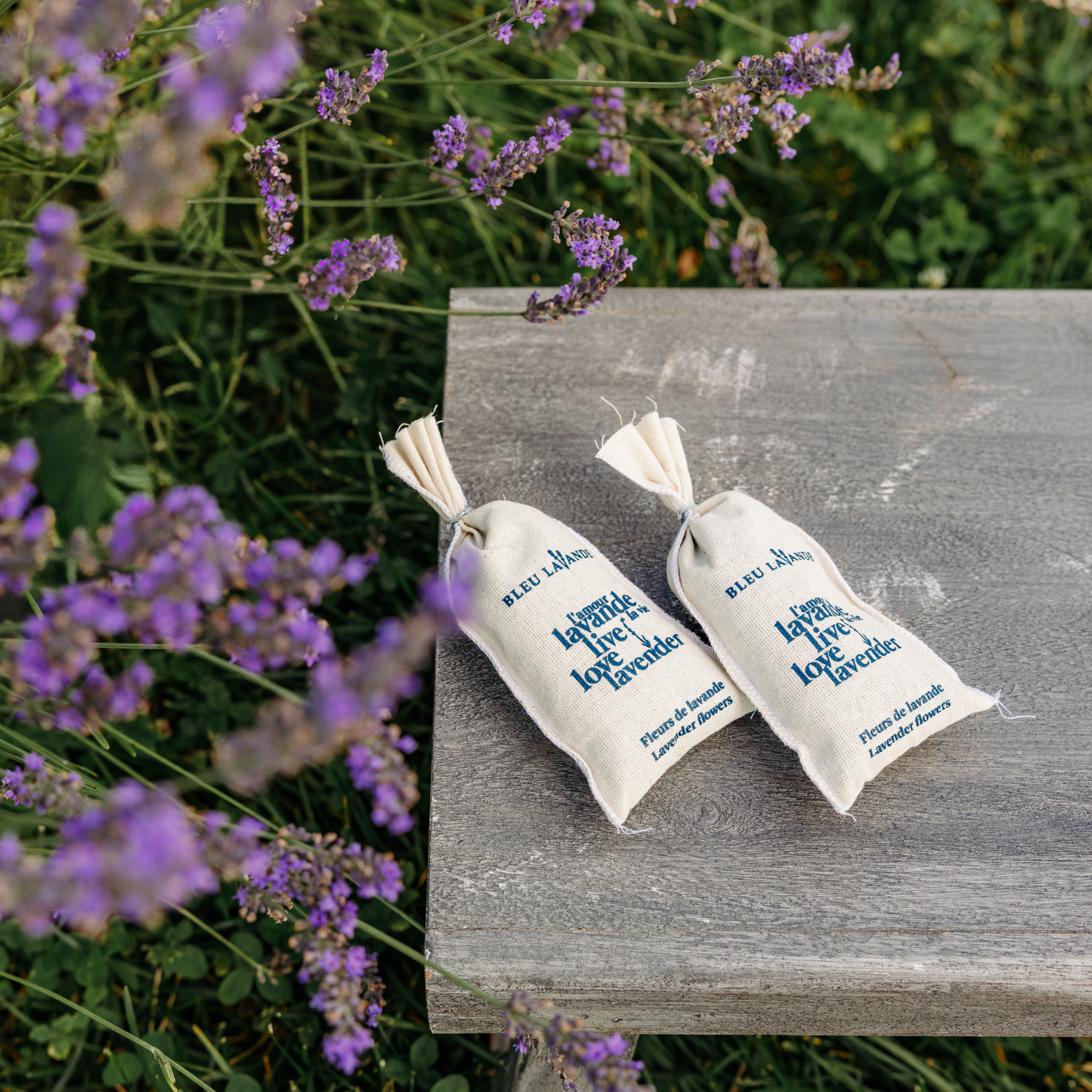 Pochettes de lavande séchée dans les champs de lavande