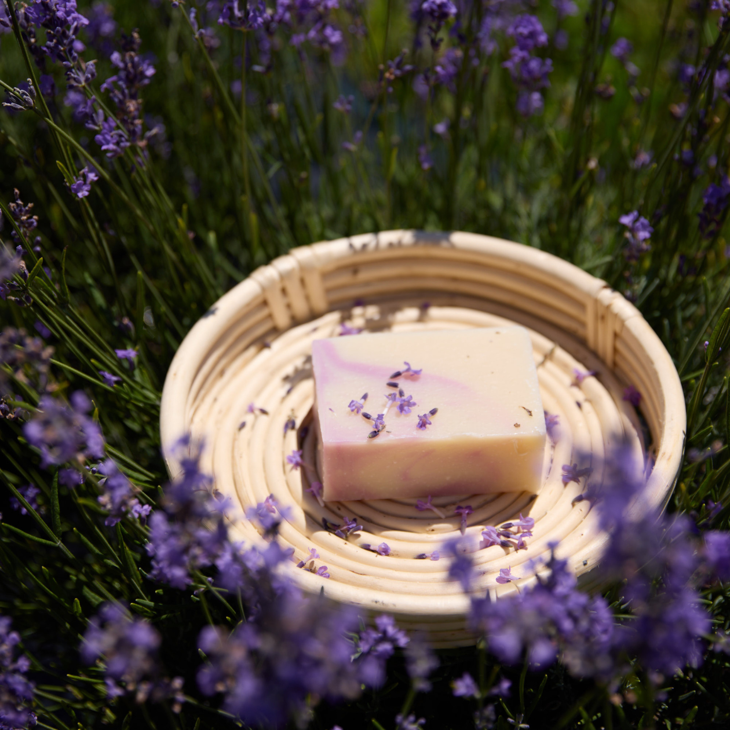 Savon artisanal lavande, bois de hô et romarin dans les champs de Bleu Lavande