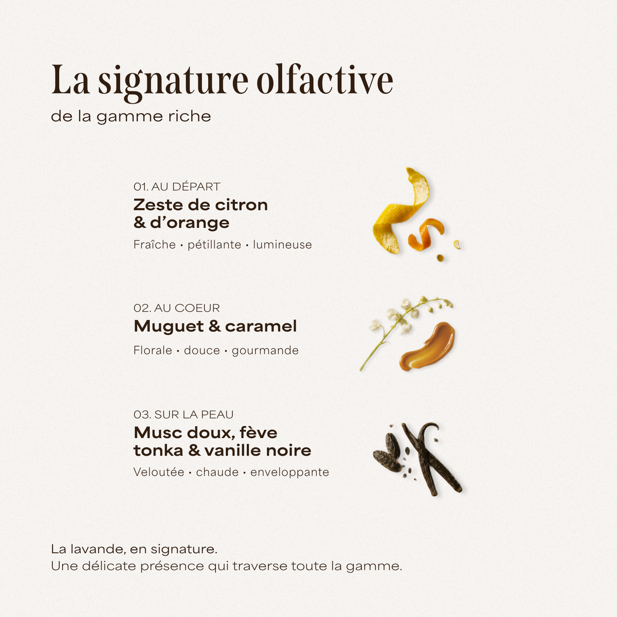 Signature olfactive des cinq produits de la collection Soin riche