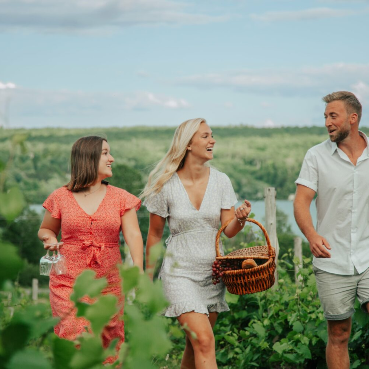 Forfait combinant une expérience chez Bleu Lavande et au Vignoble Le Cep d'Argent