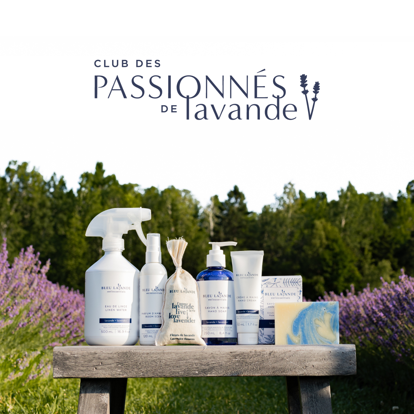 Programme de fidélité de Bleu Lavande : Club des passionnés de lavande