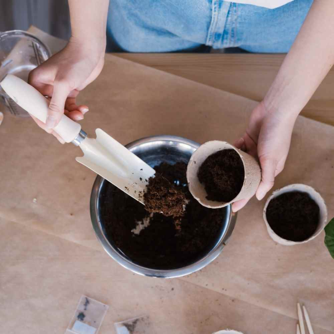 Guide complet pour réussir vos semis de lavande à partir de fin février