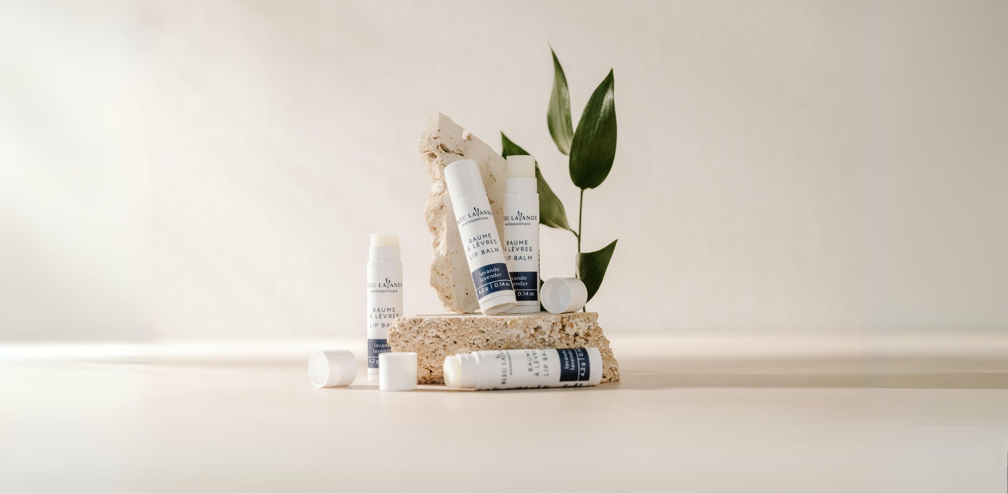 Produits pour le corps enrichis d'huile essentielle de lavande fine