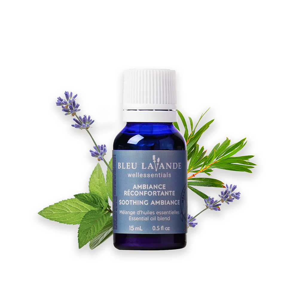 Ambiance réconfortante : Huiles essentielles de lavande, menthe poivrée et arbre à thé.