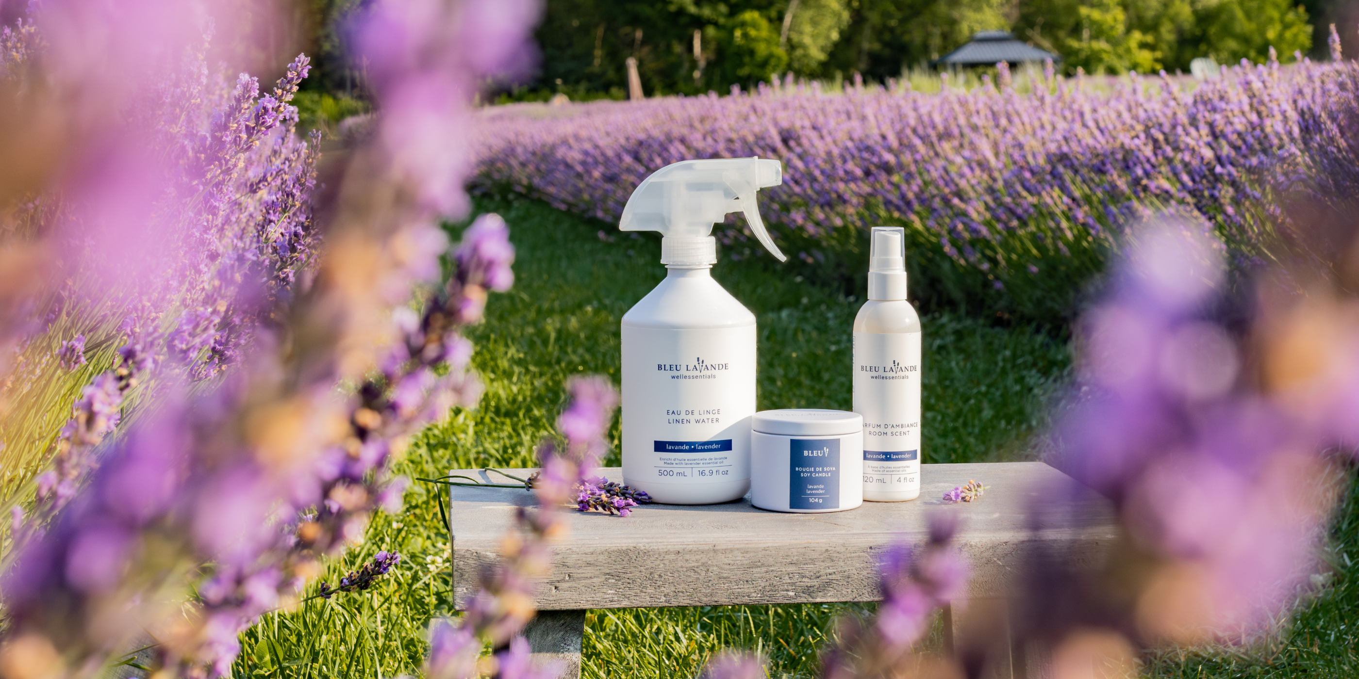 Produits d'ambiance enrichis d'huile essentielle de lavande
