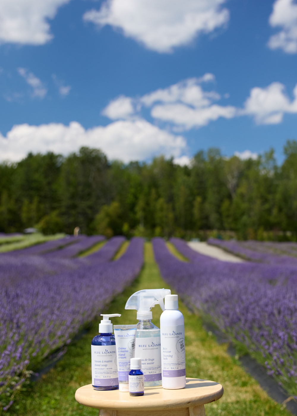 Bleu Lavande | Natural Lavender Products and Lavender Fields