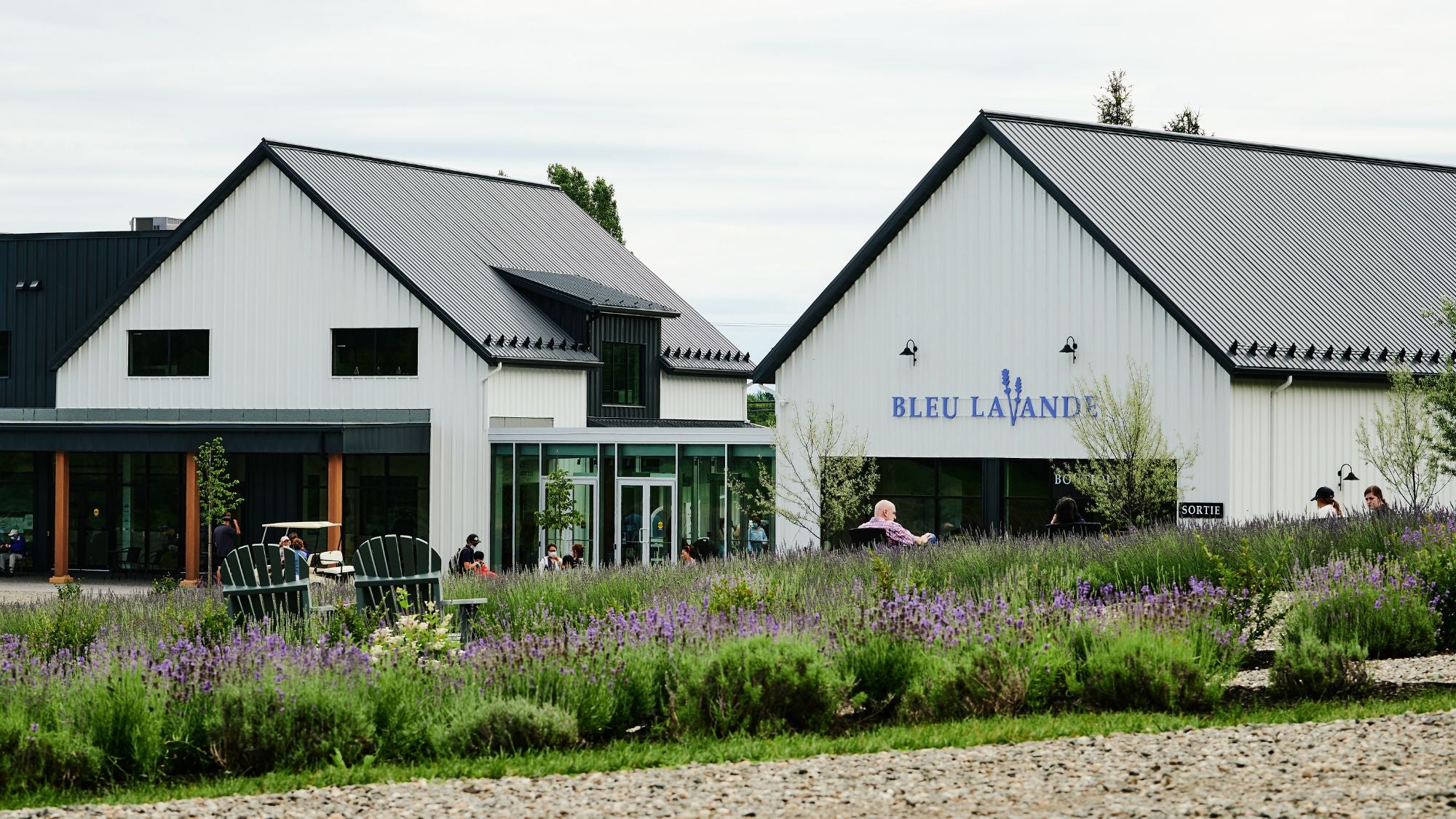 Boutique Bleu Lavande et champs de lavande dans les Cantons-de-l'Est, à Magog, au Québec