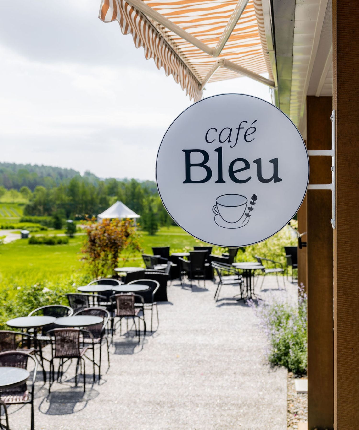 Café Bleu Lavande avec terrasse et vue sur les champs de lavande et les montagnes