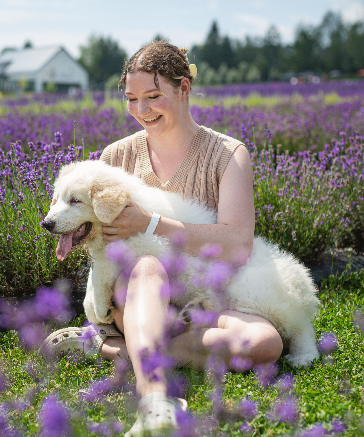 Femme qui flatte son chien dans le champs de lavande | Woman with dog in lavender field