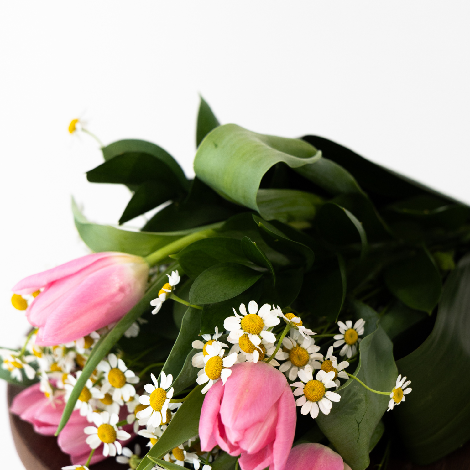 Coffret floraison lavande
