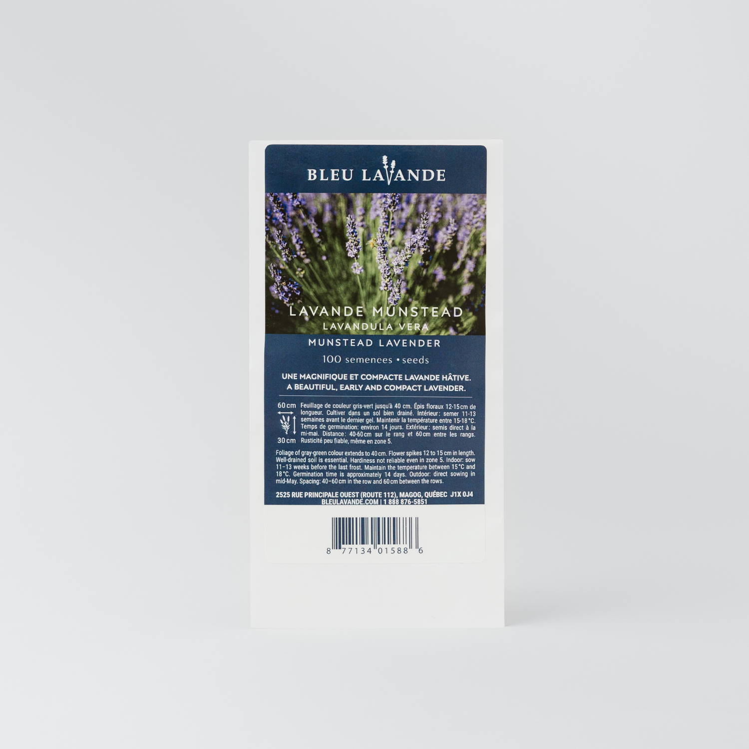Sachet de 100 semences de lavande munstead