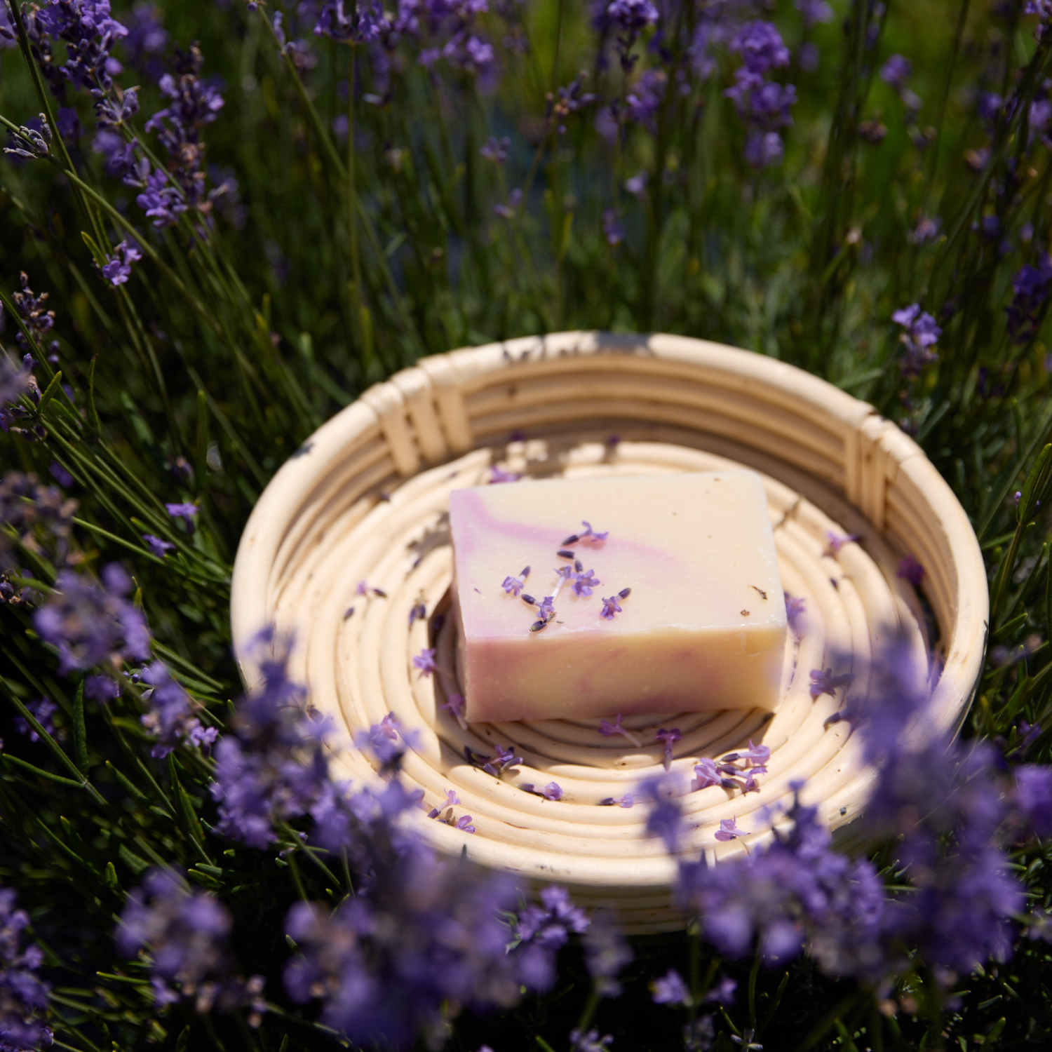 Savon artisanal lavande, bois de hô et romarin dans les champs de Bleu Lavande 