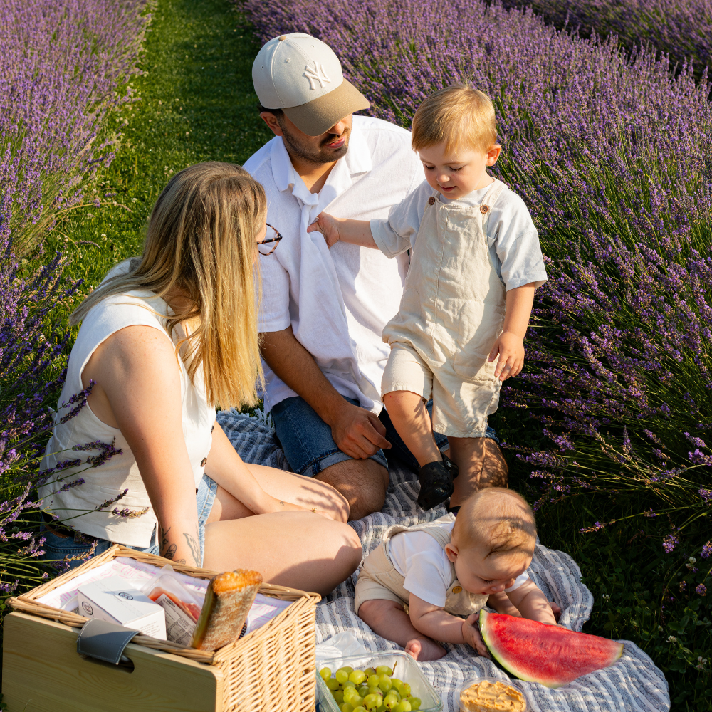 Photo piquenique en famille dans les champs Bleu Lavande