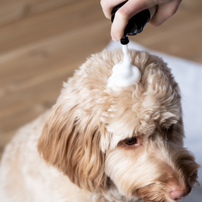 Shampooing pour chien aux ingrédients d'origine naturelle