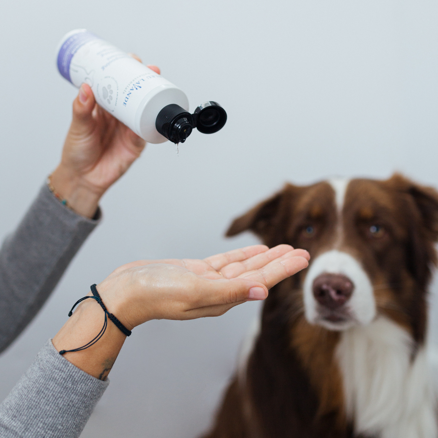 Shampooing apaisant pour chien fait avec des ingrédients d'origine naturelle