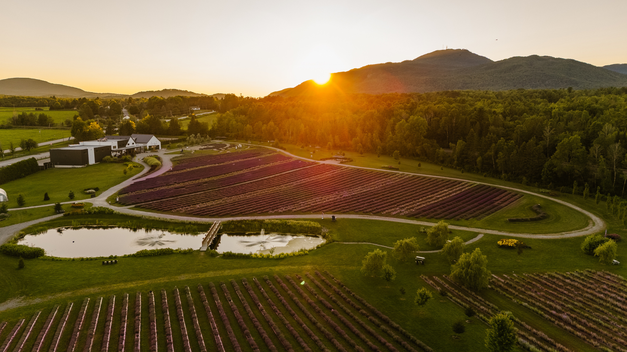Boutique Bleu Lavande et champs de lavande dans les Cantons-de-l'Est, à Magog, au Québec
